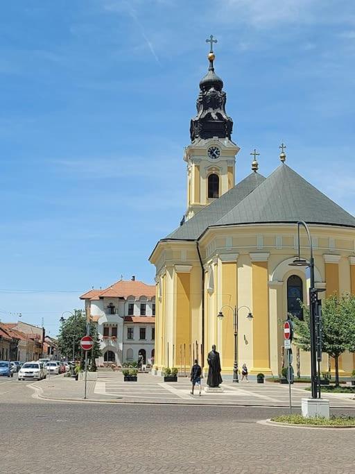Art Nouveau Apartment Ultracentral Oradea Exterior foto