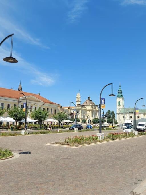 Art Nouveau Apartment Ultracentral Oradea Exterior foto